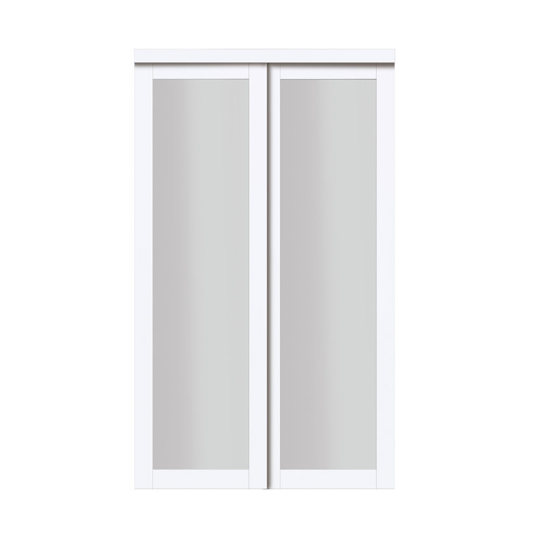 Renin Euro Glass Sliding Closet Doors with Installation Hardware Kit